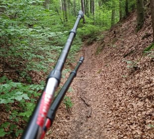 Waldweg zum Hühnerberg
