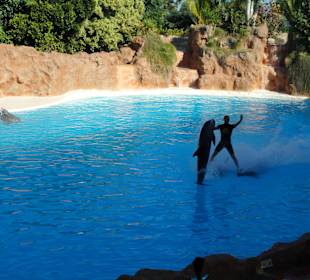 Loro Parque 