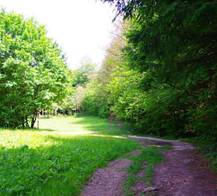 Wanderung zum Bärenfels