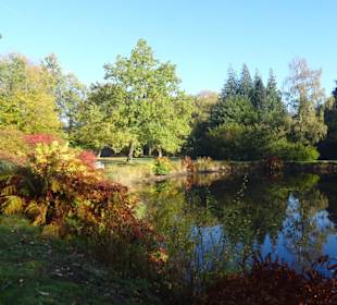 Herbstspaziergang durch den Schlosspark Lütetsburg