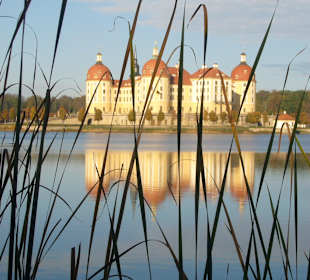 Schloss Moritzburg 