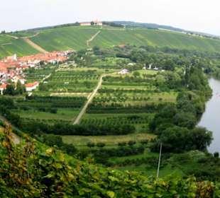 Mainschleife mit Eschendorf und dem Main