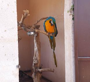 Unterwegs die Aussicht