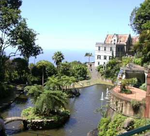 Tropischer Garten