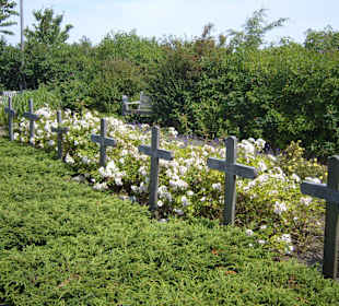 Friedhof der Namenlosen