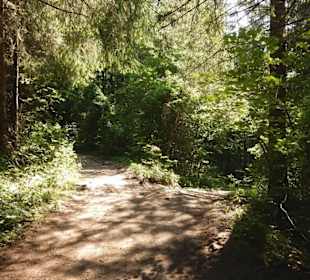 Waldweg