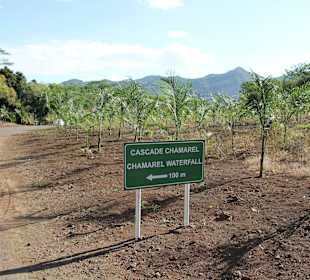 Chamarel Wasserfall