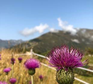 Wandern Stilluptal Mayrhofen