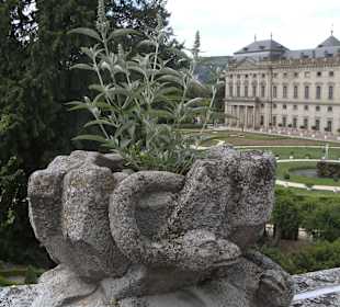 Residenz Würzburg Park