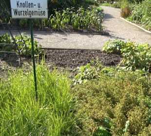 Botanischer Garten München