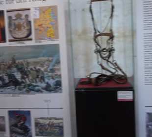 Gestütsmuseum Offenhausen