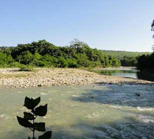 Dschungel Trekking Tour