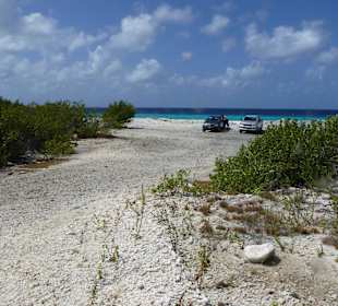 Kennzeichnung Tauch Spot