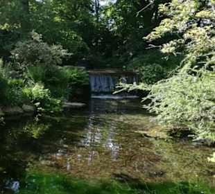 Japanischer Garten Leverkusen