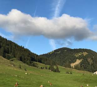 Wandern Balderschwang