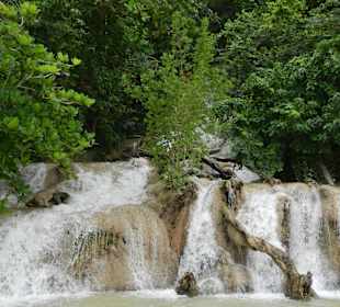 Wenn man Glück hat...