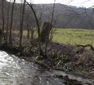 Wasserfallsteig