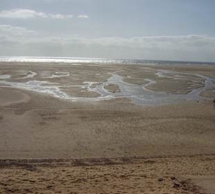 Lagune Los Gorriones