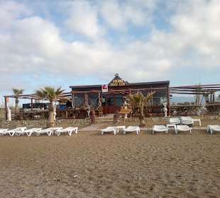 Orangensaft gibt es schon im Winter