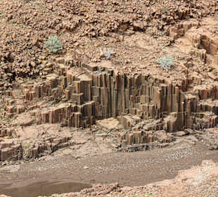 Organ Pipes