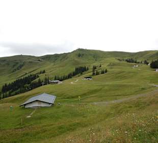 Rundwanderweg auf dem Hahnenkamm