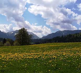 Wandern Windischgarsten