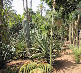 Jardin Majorelle