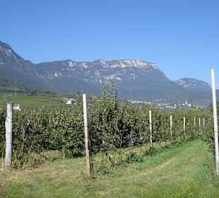 Äpfel und Wein in den Ebenen