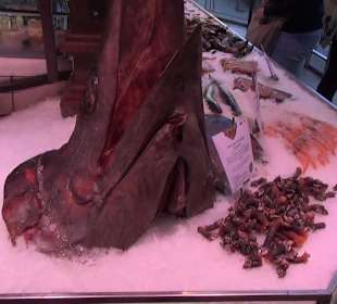 Mercado de San Miguel 