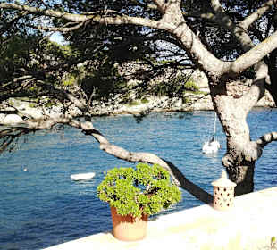 View from the private yard