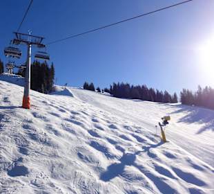 Impressionen vom Pründlkopf