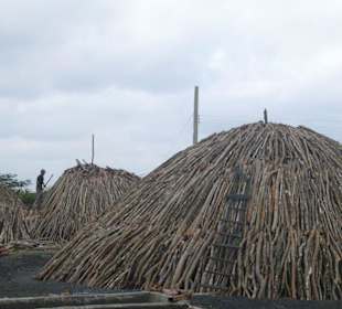 Holzkohlemeiler in Santa Lucia