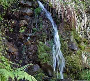 Quellen am Weg zum Wasserfall