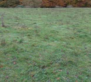 Schaukel auf den Knaupwiesen