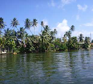 Bootsfahrt auf dem Bentotafluß - Blick aufs Ufer 