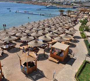 Plaża Sharks Bay