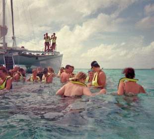 Warten auf die Rochen!