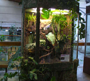 Zwierzęta w zoo