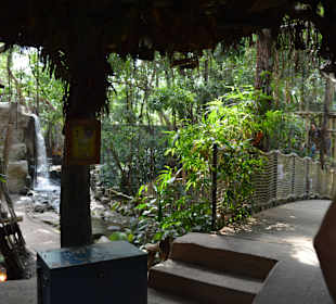 Jungle Cabana