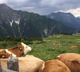 Wandern Ahorn Mayrhofen 
