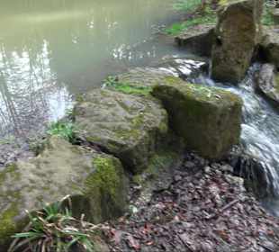 Ökobereich Deffnerteich Nehren