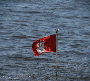 Hafengeburtstag 2008