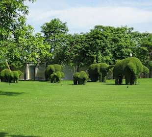 Park im Sommerpalast in Bang Pa-In