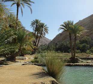 Wadi Bani Khalid