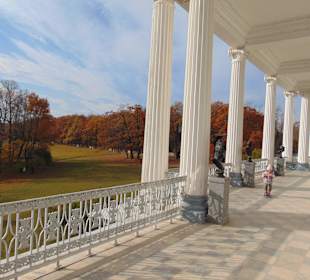 Красивые виды