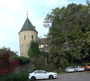 Altwege Rundwanderung Bebenhausen