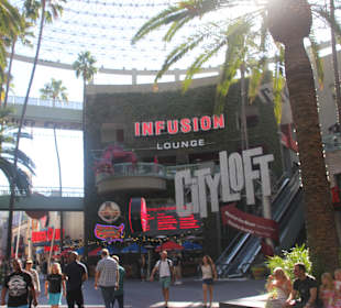 ... es geht gleich los..