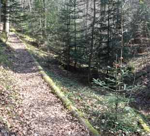 Grafenberger Brünnele