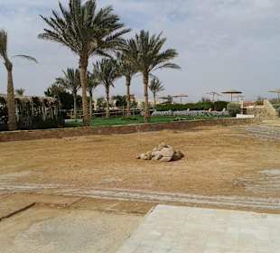 Ausflug nach Sharm el Naga