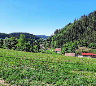 Wandern Enzklösterle